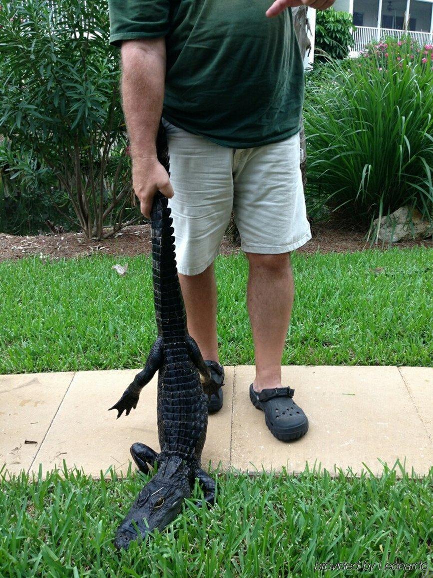 Sanibel Siesta Condo 外观 照片